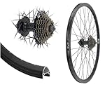 AGGRO-X 26 Zoll Alu Hinterrad Disk 19-559 Laufrad 6-Loch Hohlkammer Felgenbremse mit 7 Fach Zahnkranz 21 Gang