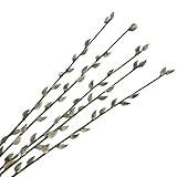 naninoa Künstliche, große Weidenkätzchenzweige, 5 Stück ca. 83cm. Palmkätzchen-Zweig, Weidenkätzchen, Osterdeko, Frühlingsdeko, Kunstzweig Groß