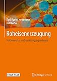 Roheisenerzeugung: Hüttenwerks- und Gasreinigungsanlagen