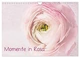 Momente in Rosa (Wandkalender 2026 DIN A4 quer), CALVENDO Monatskalender: Alles in Rosa, Florales, Stillleben, Meditation...Wellness für die Seele (CALVENDO Natur)