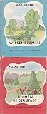 Konvolut 2 Bücher von H. Stauffer. 1. Blumen in der Stadt. 2. Wiesenblumen.,Beide Bücher aus Die bunte Waldheim Bücherei.,