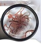 Lebendfutter Sahawa Tubifex 10x 45ml Beutel Fischfutter schneller gekühlter Versand auch im Sommer