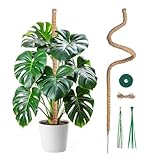 Mcbazel 120CM Monstera rankhilfe Kokosfaser Rankhilfe mit Zubehör, Rankhilfe Monstera, Pflanzenstütze für Monstera Stab Kletterpflanzen im Innenbereich
