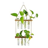 Hängende Vermehrungsstation Für Pflanzen Wand Pflanzgefäß Indoor Moderne Glas Reagenzglasvasen Für Blumen Mit Holzregal Für Vintage Room Decor Home Office Zubehör, 8 Reagenzgläser