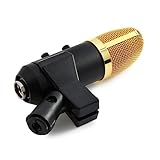 HEMOTON F100tl Kondensatormikrofon Mit Echofunktion Reverb-chip 3D-Surround-Sound Mini-mikrofon Für Den Heimgebrauch Ktv