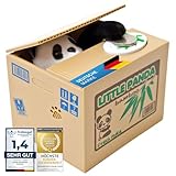 Elektronische Spardose Pandabär Itazura Little Panda Elektrische Spardose Sparbüchse
