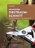 Grundkurs Obstbaumschnitt: Von Apfel bis Zwetsche - so schneiden Sie gut ab