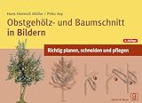 Obstgehölz- und Baumschnitt in Bildern: Richtig planen, schneiden und pflegen