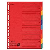 Original Falken Karton-Register überbreit für DIN A4+ 24,5 x 30 cm volle Höhe mit Organisationsdruck 10-teilig vollfarbig 2 x 5 Farben zur Ablage von Prospekthüllen
