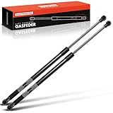 Frankberg 2x Gasfeder Dämpfer Heckklappe Kompatibel mit Astra G Cabriolet F67 2001-2005 2/3-Türer Replace# 132531