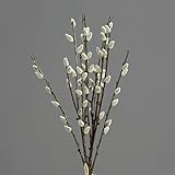 3 Stück Weidenkätzchenzweig 42cm DP Kunstzweig künstliche Weidenkätzchen künstliche AST Palmkätzchen