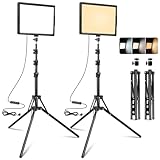 LED-Dauerlicht 2-Pack, Zweifarbig 2800-6500K Dimmbares USB Foto-Videoleuchte, 173cm Fotografie-Beleuchtungsset mit Stativständer für Studios, YouTube TikTok Videoaufnahmen, Spiele-Streaming