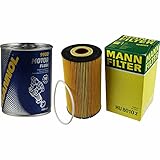 QR-Parts Set 85495831 HU 8010 z 9900 Original MANN Ölfilter + SCT Motor Flush Motorspülung