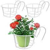 3 Stück Hängende Blumentopfhalter, Runder Blumentopfhalter Des Balkons, Metall Runde Geländer Pflanzer Körbe, Blumentopf Halterung lumentopf Aufhänger für Haus, Balkon, Garten, Geländer, Zaun (Weiß)