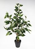 Seidenblumen Roß Ficus Benjamini 60cm im Topf LA Kunstpflanze künstliche Pflanzen Birkenfeige
