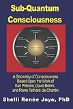 Sub-Quantum Consciousness: A Geometry of Consciousness Based Upon the Work of Karl Pribram, David Bohm, and Pierre Teilhard De Chardin