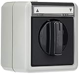 Gira 015430 Jalousietaster/-Schalter 1-polig Beschriftungsschild, Wassergeschützt Aufputz, 10 A, 250 V, grau
