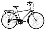 Denver Discovery Herren Trekkingrad Manhattan Herrenfahrrad (28 Zoll), Shimano 6 Gänge, Farbe Silber Metall