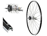 28 Zoll Hinterrad Alu Cut19 schwarz Hohlkammerfelge 622-19 Shimano Nexus 3 Gang Rücktritt Bremse NIRO-Speichen