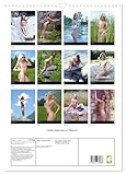 Nude Beauties in Nature (Wandkalender 2026 DIN A3 hoch), CALVENDO Monatskalender: Aktfotografie in der Natur (CALVENDO Erotik)