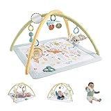 Fisher-Price Simply Senses Spieldecke für Babys, Erlebnisdecke für Neugeborene, mit Mobile und sensorischem Aktivitätsspielzeug für die spielerische Entwicklung, ab 0 Monaten, JMN74