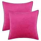 Alishomtll 2er Set Samt Kissenbezüge Super Weich Kissenhülle mit Verstecktem Reißverschluss 45x45cm Dekorative Uni Flanell Wurfkissenbezug für Sofa, Rose Rot