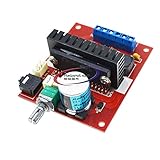 Reland Sun TA2020 Digital Endstufe Board Effekt & TA2024 YDA138 TA2022 TDA7492