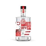 F95 Fortuna Düsseldorf Gin | Fanartikel, Fußball, für Männer, Frauen | Mein Verein F95 Duesseldorf | Geschenkidee für echte Fans, Weihnachten, Bar | 500ml Einzelflasche | 42% vol |