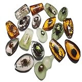18 Stück Insekten-Bernsteinfossilien, Bernsteinfossil-Anhänger, verschiedene Insektenexemplare,in Harz konservierte Käfer, Lernspielzeug für Kinder und wissenschaftliche Sammlungen –zufällige Muster