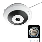 Reolink 6MP WLAN Überwachungskamera Innen, 360° Blick Panorama Fisheye Kamera mit 2,4/5 GHz WLAN, Personenerkennung, 2 Wege Audio, Decken-/Wand-/Tisch-Installation, Mehrere Display-Ansichten, FE-W