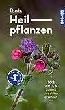 Basic Heilpflanzen: 102 Arten einfach und sicher erkennen - In drei Schritten zur richtigen Art (Kosmos-Naturführer Basics)