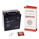 Gel Batterie für Piaggio Hexagon 125 GTX Super 4T, 1999-2003, wartungsfrei, einbaufertig (inkl. 7,50€ Pfand)