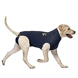 MPS Medical Pet Shirt, Blau, für mittelgroße Hunde