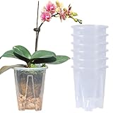 TSLBW 6 Stück Kunststoff Orchidee Pflanztöpfe, Transparente Blumentöpfe mit Drainageloch Atmungsaktiver Geschlitzter, Klare Orchideentöpfe für Sukkulenten Garten Balkon Drinnen Draußen (10cm)
