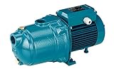 Elektropumpe mehrstufiger Umkehr Motor Wasser Calpeda mgpm 404 1 HP einphasigen multigirant