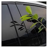 Für Für E-Klasse W210 S210 1995 1996 1997 1998 1999–2002 Fenstertür Seitenleiste 6 Stück Säulenpfosten(Glänzend schwarz)