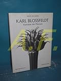 Blossfeldt. Pflanzen (German ed)