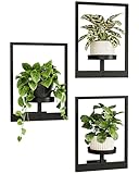 Bamworld Wandbehang Pflanzgefäße für Zimmerpflanzen 3 Set Wand Blumenständer Moderner Pflanzenständer mit Metallrahmen Blumentopfhalter zur Wandmontage Deko Pflanzenhalter für Wohnzimmer, Büro & Flur