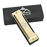EastRock Harmonika C-Dur Harmonika mit Box 10-Loch Harmonika für Schüler, Fortgeschrittene und Anfänger (10-Loch,Gold)