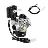 DOCAS 17.5mm Vergaser, Ersatzvergaser mit 17.5mm Durchlass mit E-Choke für Scooters de 50cc Piaggio Gilera(Stil 1)