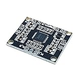 DollaTek PAM8610 Digital Endstufe Board 2 x 15 W Dual Channel Stereo Mini Class D Endstufe Board