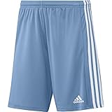 adidas Herren Squad 21 Shorts, Tmlgbl/White, L EU