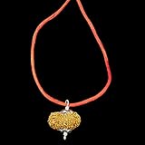 16 Mukhi Nepal Rudraksha / Si6teen Face / Lord Mahamritunjaya in reinem Silber Anhänger IGL-zertifiziert 100% Original echte Perle alle Größen (selten 31 mm-32 mm)