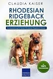 Rhodesian Ridgeback Erziehung: Hundeerziehung für Deinen Rhodesian Ridgeback Welpen