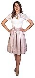 Trachtl Dirndl Rock Trachtenrock Oktoberfest RÖCKE Knielang (36, ROSA)