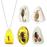 FAVOMOTO 5 Stück Bernstein Anhänger, Halsketten Anhänger Muster Bernstein Insekt in Kristallsteinen Proben Biologie Pädagogisches Zufälliges Muster Bernstein