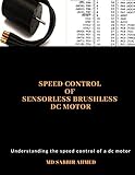 Speed Control of Sensorless Brushless DC Motor: brushless dc motor controller,ac gear motor,permanent magnet dc motor,large dc motors,brushless electric motor,brushless dc motor,dc motors,servo motor