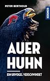 Auerhuhn: Ein Urvogel verschwindet