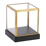 TOLIDA Vitrine aus Klarglas Quadratische Displaybox aus Goldfarbener Rahmen Schaukasten mit Schwarzem Kiefernholzsockel für Antiquitäten Statuen Spielzeug Sammlerstücke 10 * 10 * 12cm