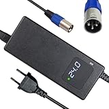 24V 4A Elektrorollstuhl Ladegerät Blei-Säure-Batterie-Ladegerät 3-Pin Male XLR Connector für Lakematic, Pride Mobility, Jazzy Power Chair, Drive Medical, Golden Technologies, Shoprider